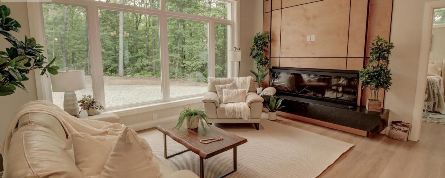 Living Room Fireplace 2