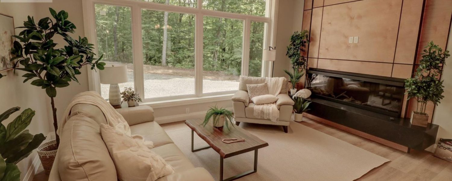 Living Room Fireplace